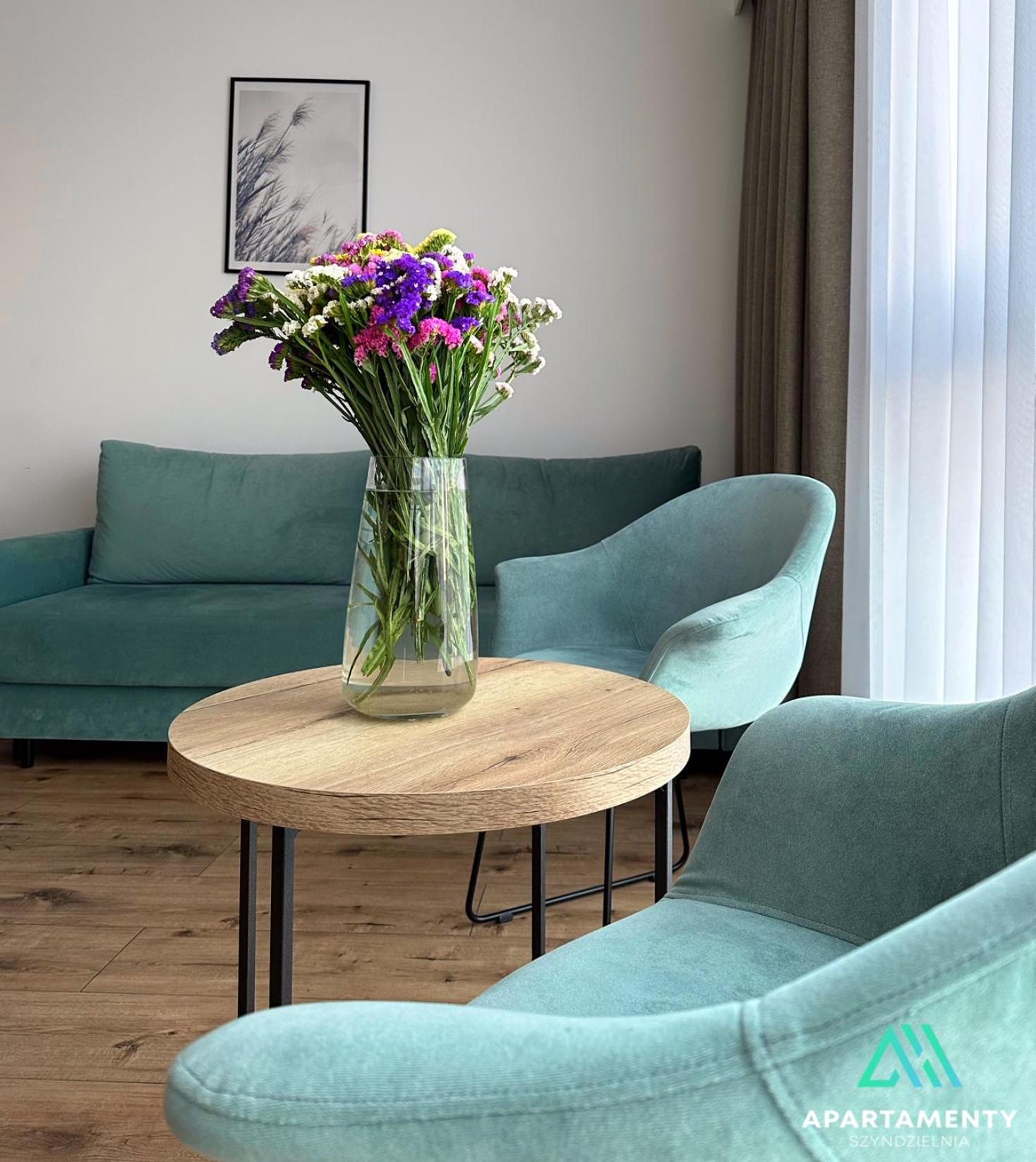 Szyndzielnia Widokowe Biznesowe Parking Apartment