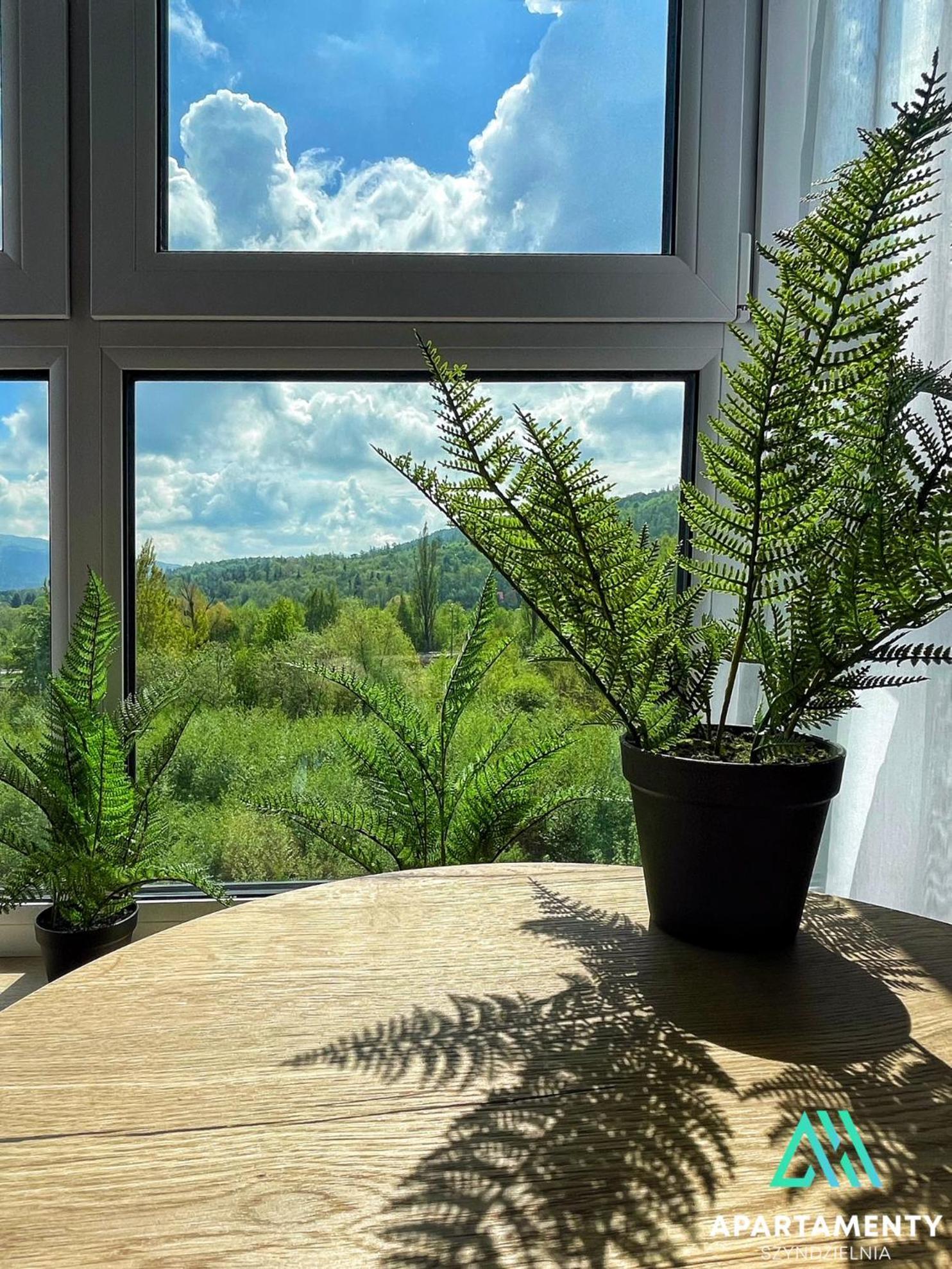 Apartment Szyndzielnia Widokowe Biznesowe Parking Bielsko-Biala
